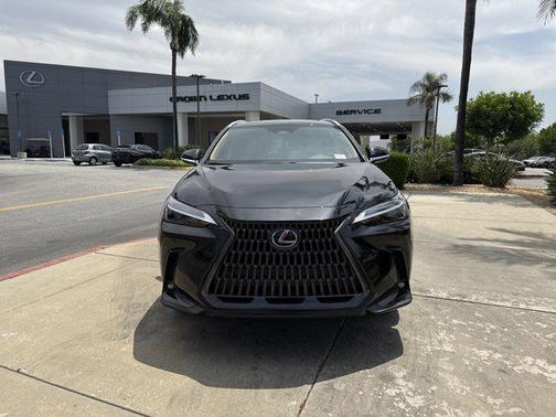 2025 Lexus NX 250 Base