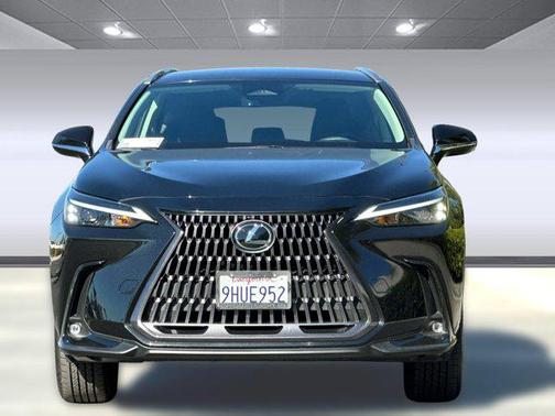 2024 Lexus NX 250 Base