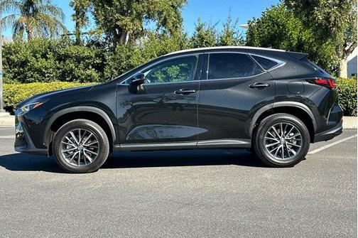 2024 Lexus NX 250 Base