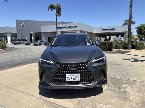 2024 Lexus NX 250 Base