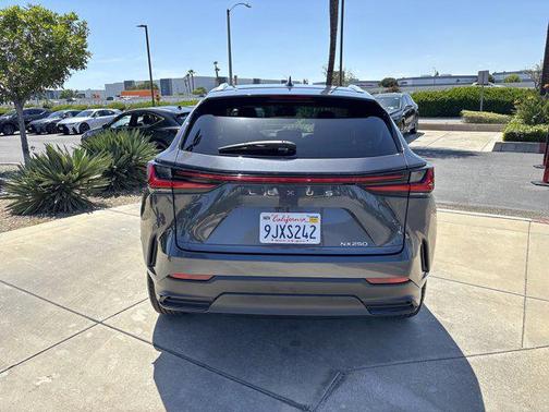 2024 Lexus NX 250 Base