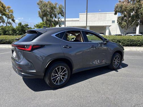 2024 Lexus NX 250 Base