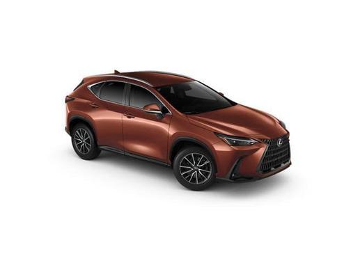 2025 Lexus NX 250 Base