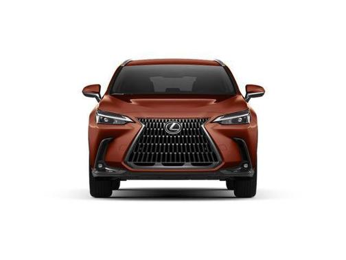 2025 Lexus NX 250 Base