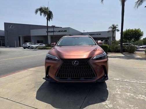 2025 Lexus NX 250 Base