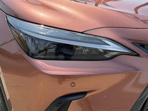 2025 Lexus NX 250 Base