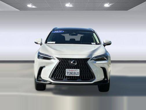 2025 Lexus NX 450h+ Luxury