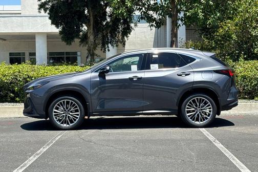 Cloudburst Gray 2026 Lexus NX 350h Luxury