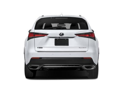 Nebula Gray Pearl 2020 Lexus NX 300 F Sport
