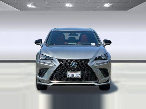 Nebula Gray Pearl 2020 Lexus NX 300 F Sport
