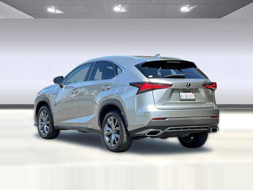 Nebula Gray Pearl 2020 Lexus NX 300 F Sport