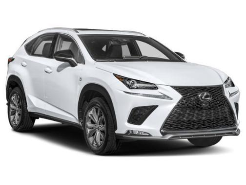 Nebula Gray Pearl 2020 Lexus NX 300 F Sport