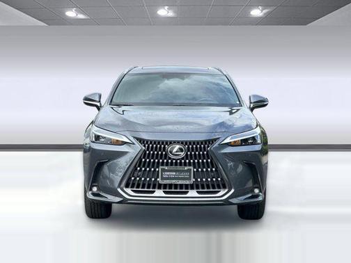 Cloudburst Gray 2025 Lexus NX 350h Premium