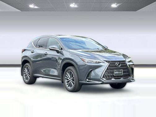 Cloudburst Gray 2025 Lexus NX 350h Premium