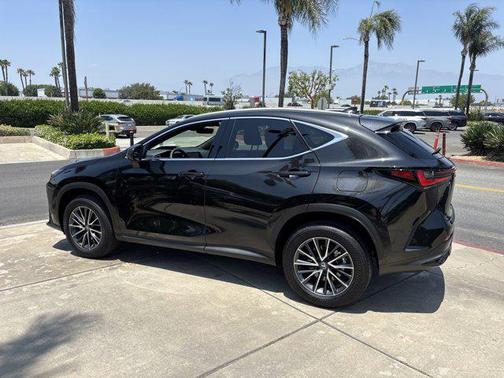 2025 Lexus NX 250 Base