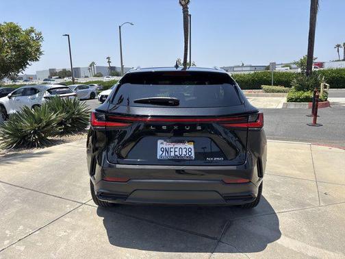 2025 Lexus NX 250 Base