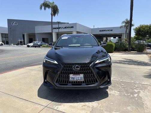 2025 Lexus NX 250 Base