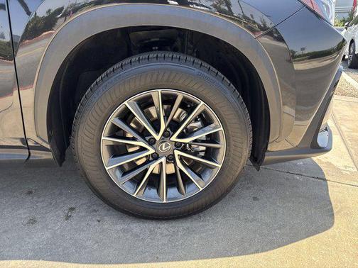 2025 Lexus NX 250 Base