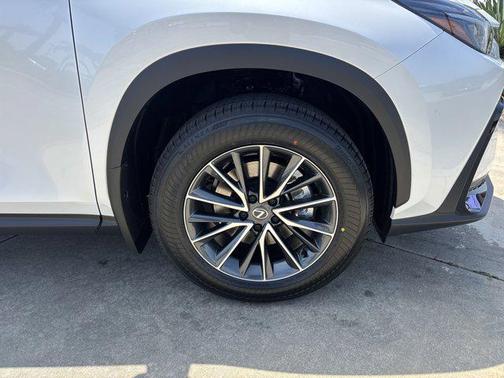 2025 Lexus NX 250 Premium