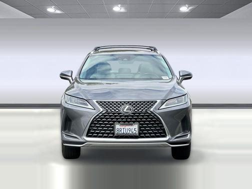 Nebula Gray Pearl 2020 Lexus RX 350 Base