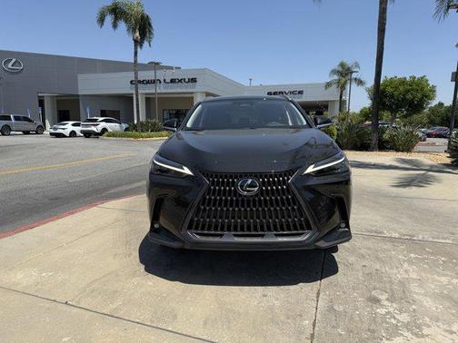 2025 Lexus NX 450h+ Luxury