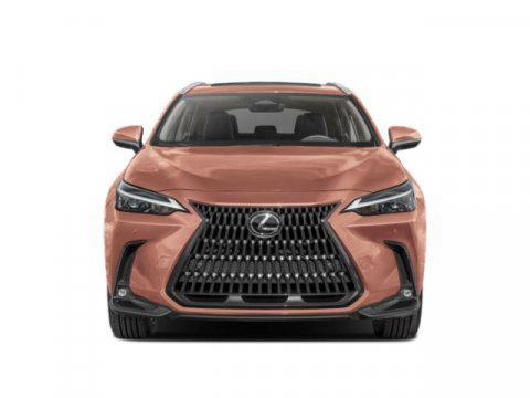 2024 Lexus NX 350 NX 350