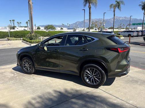 2024 Lexus NX 350 NX 350