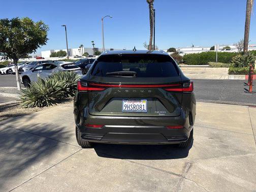 2024 Lexus NX 350 NX 350