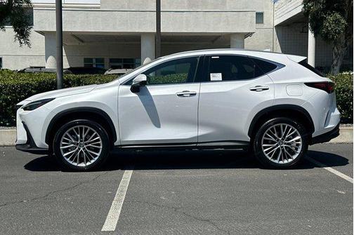 2025 Lexus NX 350h Premium