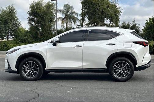 2024 Lexus NX 350 NX 350