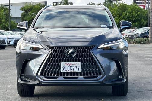 Cloudburst Gray 2024 Lexus NX 350h Premium