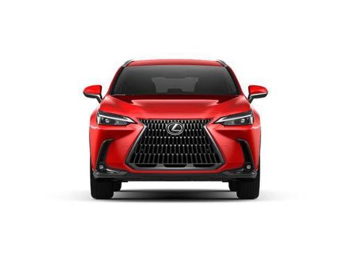2025 Lexus NX 250 Base