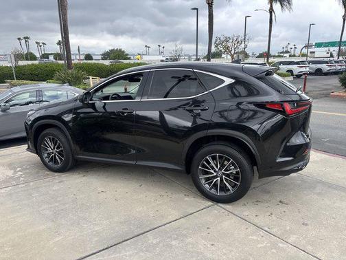 2024 Lexus NX 350 NX 350