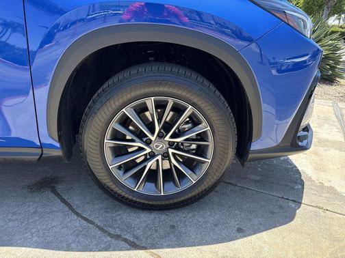 2025 Lexus NX 250 Base