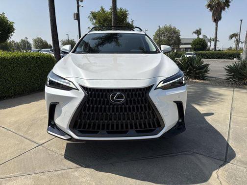 2025 Lexus NX 350h Premium