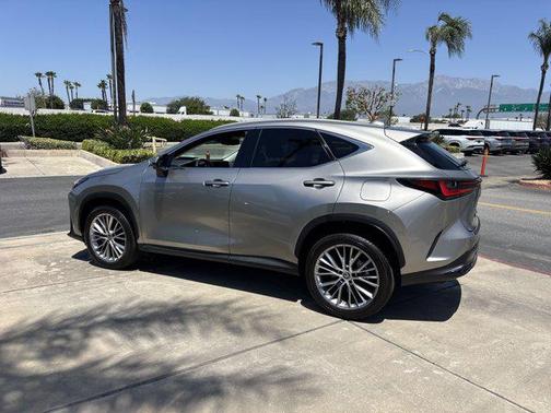 2024 Lexus NX 350 Luxury