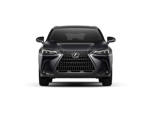 2025 Lexus NX 250 Base