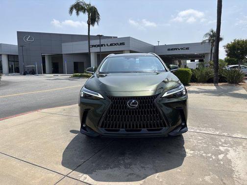 2025 Lexus NX 350h Premium