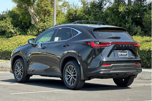 2025 Lexus NX 250 Premium
