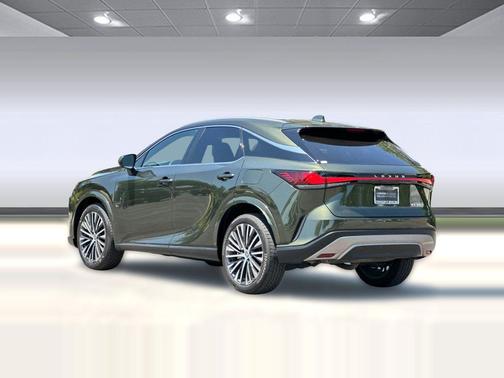 Nori Green Pearl 2024 Lexus RX 350 Base
