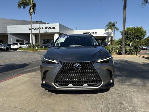 2025 Lexus NX 450h+ Luxury
