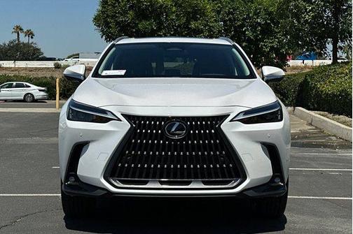 2025 Lexus NX 350h Premium