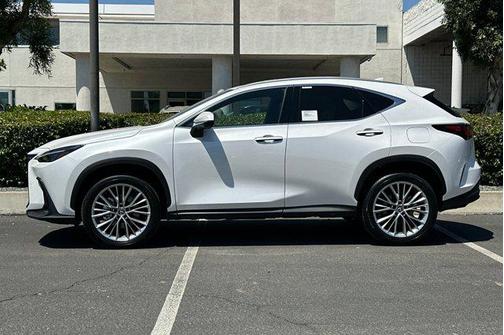2025 Lexus NX 350h Premium