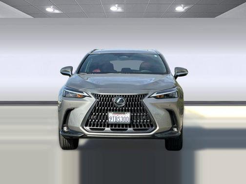 2025 Lexus NX 350 Premium