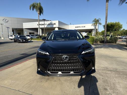 2025 Lexus NX 450h+ Luxury