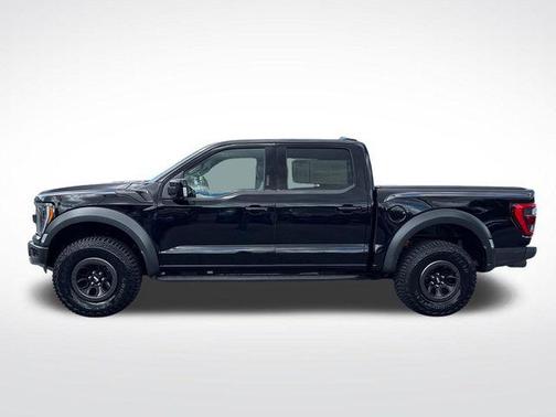 Black Metallic 2023 Ford F-150 Raptor