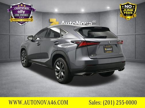 Nebula Gray Pearl 2020 Lexus NX 300 F Sport