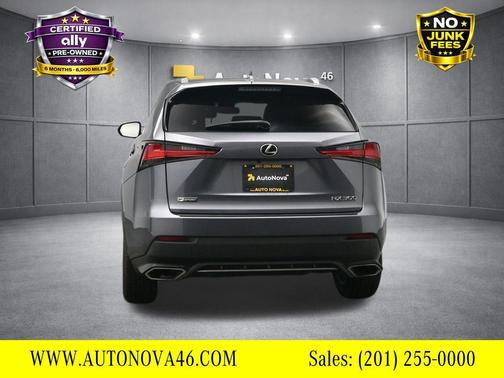 Nebula Gray Pearl 2020 Lexus NX 300 F Sport