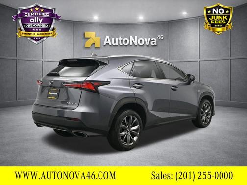 Nebula Gray Pearl 2020 Lexus NX 300 F Sport