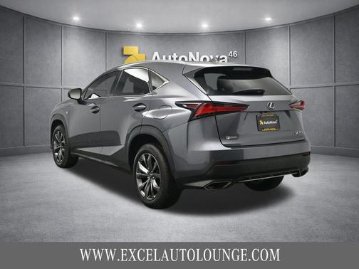 Nebula Gray Pearl 2020 Lexus NX 300 F Sport